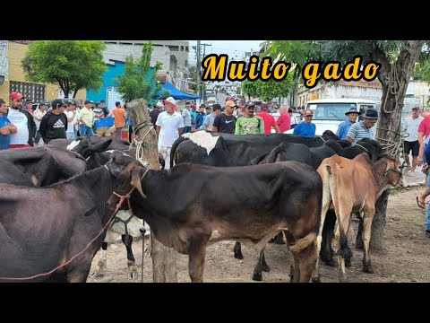 FEIRA DE ANIMAIS DE UMBUZEIRO PARAÍBA HOJE 13/06/2026 