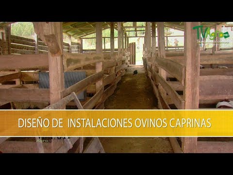 , title : 'Ideas para Diseñar Instalaciones Ovino Caprinas- TvAgro por Juan Gonzalo Angel Restrepo'