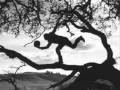 Tom Waits - I'll be gone