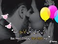 Tera Pyaar Hai Meri Zindagi NK W S Status