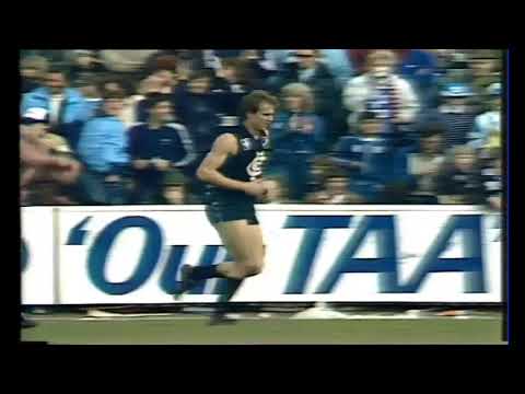 1983 Round 21 Carlton Highlights - Carlton vs North Melbourne