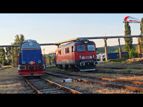 LDH1250 81-0839-6 & LDE2100 609-011-5 la Manevra in Triajul Oradea Est cu Containere-29 Aprilie 2025