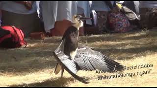 Download lagu Ijulile indaba ka Shembe 🙏 mp3