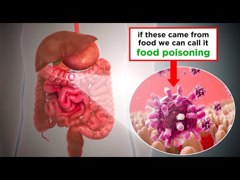 Food Poisoning: Shiga Toxin-Producing E. coli