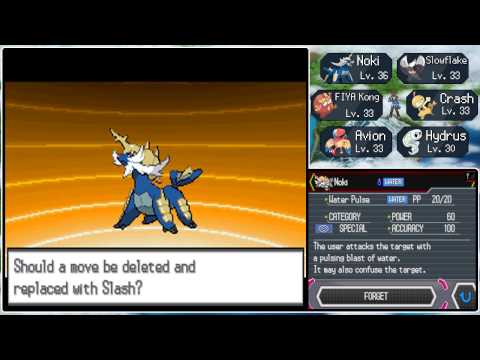 Pokémon White - Part 37: Twin-volution