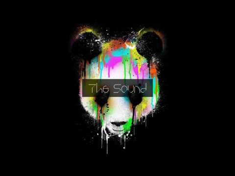 Purple Lamborghini vs  Panda (Skrillex Mashup)