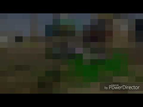 Gta 5 director and editor sane