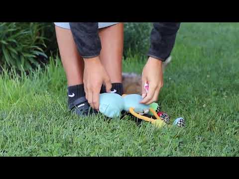 Video Thumbnail