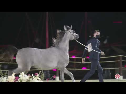 Muranas Nader primus in Qatar