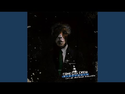 Rainha Da Pista - ConeCrewDiretoria