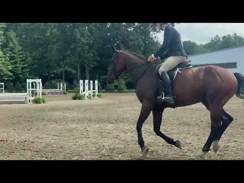 CMS Benevolent video 1