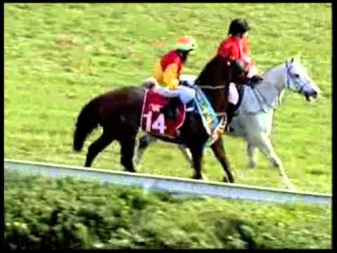 興銘澳門國際見習騎師邀請賽(盃) 2010 精華