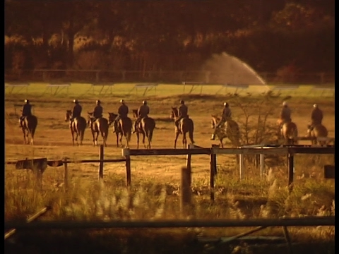 Zimbabwe - A New Dawn - Ep 1 - 2009 Kevin Harris