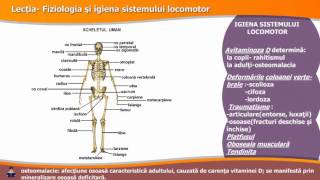 Fiziologia și igiena sistemului locomotor.