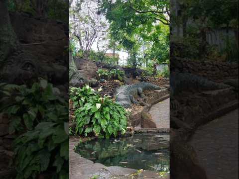 Parque escultórico Panchimalco #elsalvador