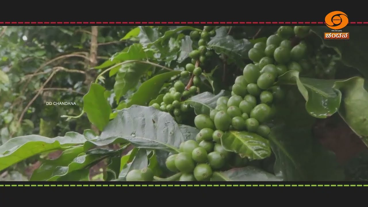 Promo | Taana Yana | ತಾಣ ಯಾನ | Chikkamagaluru | Watch on 25.10.2026 @7.30pm | DD Chandana