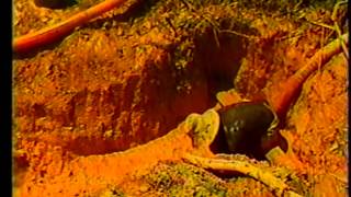 Mineração e Desenvolvimento em Áreas Indígenas