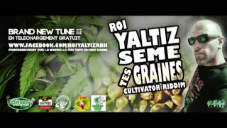 ROI YALTIZ - Sème tes graines - CULTIVATOR RIDDIM