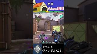 [Valorant] Vandal 5K #short