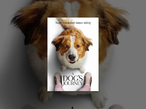 A Dog'S Journey