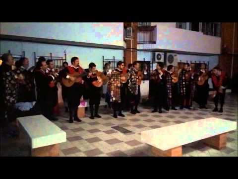 La morena de mi copla - Tuna Derecho Córdoba