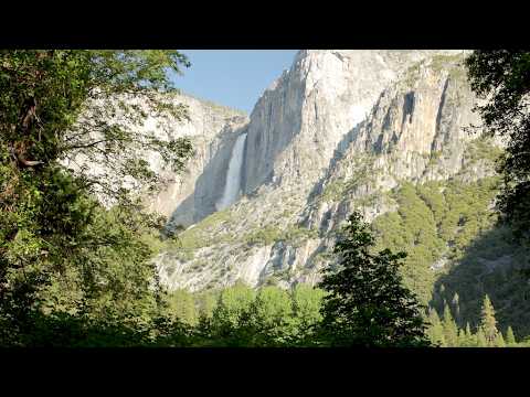 A Day In Yosemite Valley