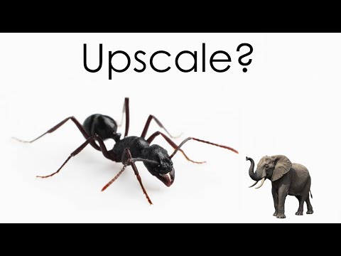 Spec evo short: El tamaño de los errores