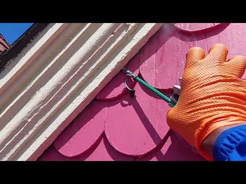 Home Getting Attacked by Carpenter Bees in Somerville, NJ