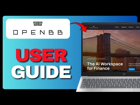 How To Use OpenBB Terminal (Full Guide) 2025!