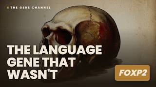 FOXP2: The Language Gene That Wasn't