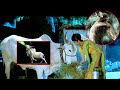 Avatharam Devotional Mesmerizing Family Movie Part 4