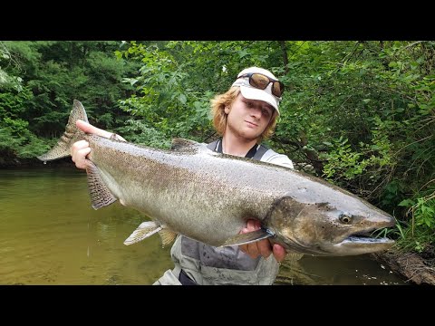 Float Fishing For Early Michigan KING SALMON - 2022 BOBBER DOWNS!