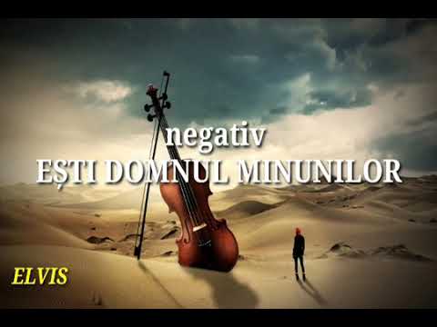 Negati Esti Domnul Minunilor Robert Elvis  Simon