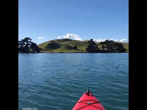 Beautiful island #island #fishingkayak #kayaktrip #newzealand