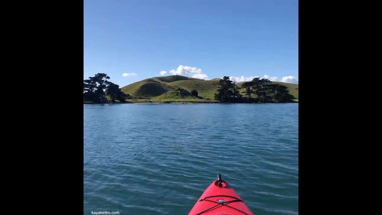 Beautiful island #island #fishingkayak #kayaktrip #newzealand
