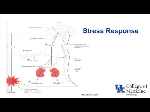 Biochemistry and Metabolism - Dr. Schell