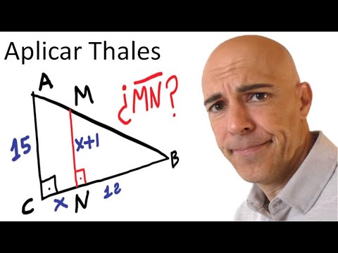 TEOREMA DE TALES. Ejercicio triángulos rectángulos semejantes