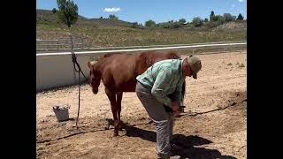 Video 1