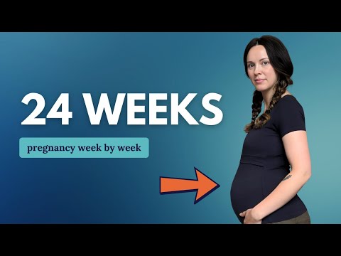 24 Weeks Pregnant 🤰 What to Expect: Changes for You & Baby Development