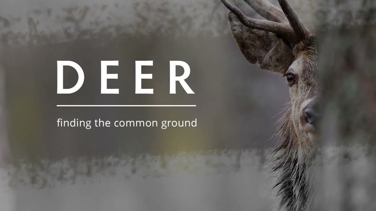 DEER: finding the common ground