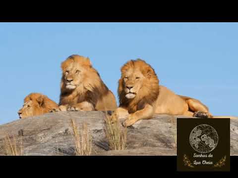 Música de Rezo Puyare - Mani Yawanawa