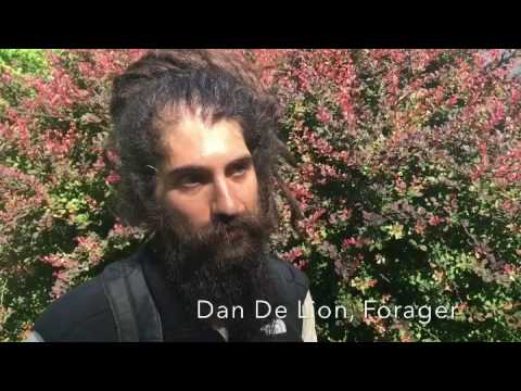 About Dan De Lion and Return to Nature