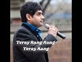 Teray Rang Rang By Abrar ul Haq Full Lyrics