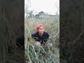 Ketauan Ngintip Cewek Mandi Shorts Videolucu Ngakak