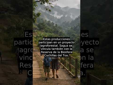 Sagua de Tánamo entre montañas y campos 🌿 #Shorts