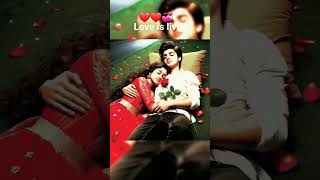 Download lagu https://www.facebook.com/share/r/1CeGAkRHSd/❤❤❤💞 mp3