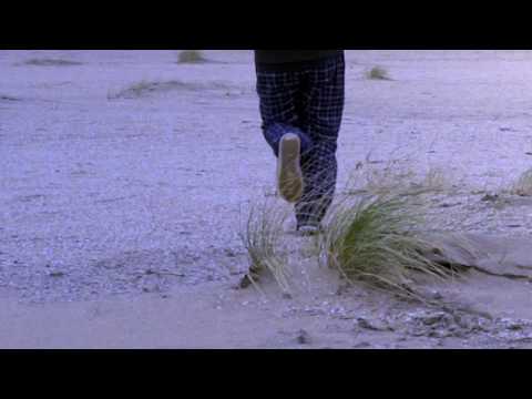 BlaDesa - Diktat der Ambition