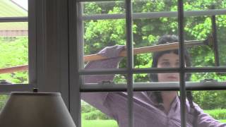 Martha Clements Visits Aunt Winnie