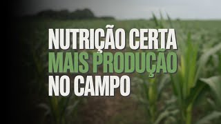 DESCOBERTO: Como a NUTRIÇÃO CORRETA Protege Sua Lavoura de DOENÇAS! CONFIRA AGORA