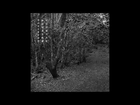 DØVES CRY SPRINGS ETERNAL x HORSE HEAD - COOL